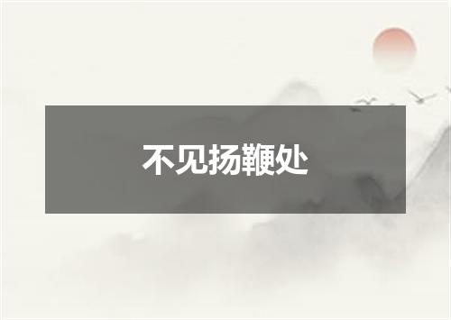 不见扬鞭处