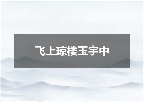 飞上琼楼玉宇中