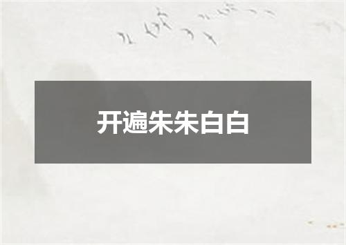 开遍朱朱白白