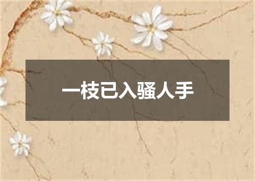 一枝已入骚人手