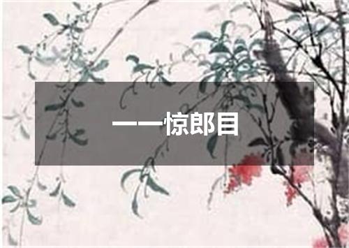 一一惊郎目