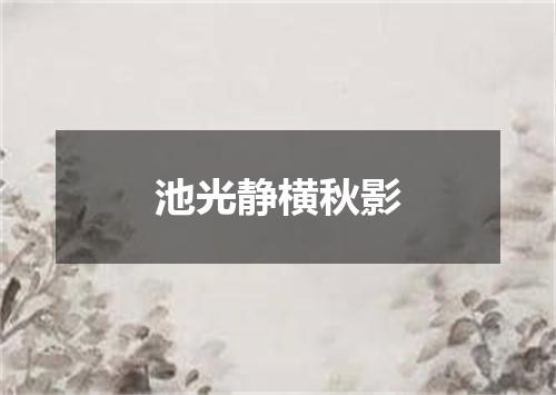 池光静横秋影