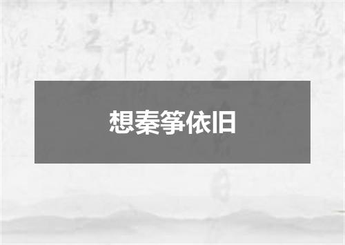 想秦筝依旧