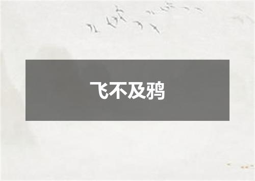 飞不及鸦