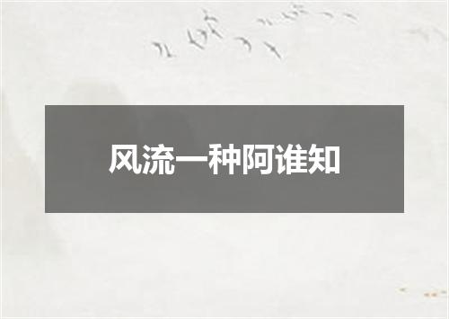 风流一种阿谁知