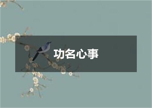 功名心事