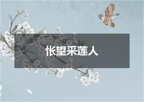 怅望采莲人