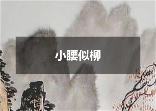 小腰似柳