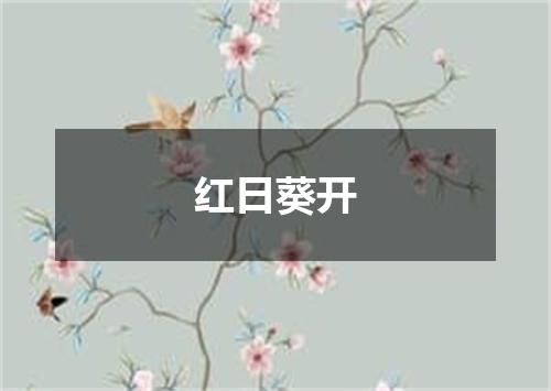 红日葵开