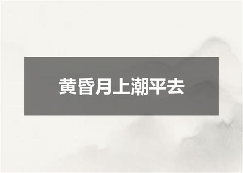 黄昏月上潮平去