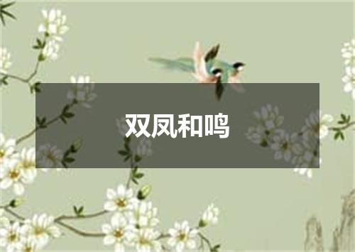 双凤和鸣