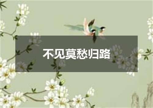 不见莫愁归路