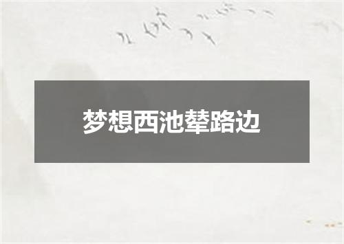 梦想西池辇路边