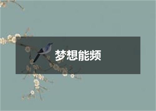 梦想能频