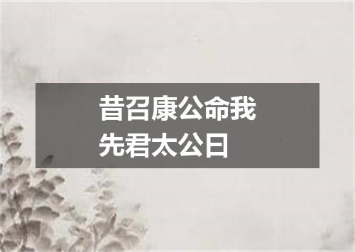 昔召康公命我先君太公曰