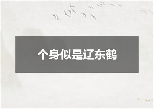 个身似是辽东鹤