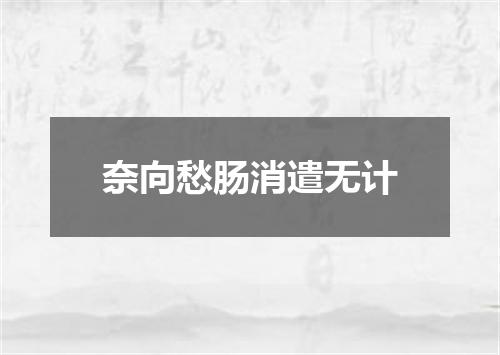 奈向愁肠消遣无计