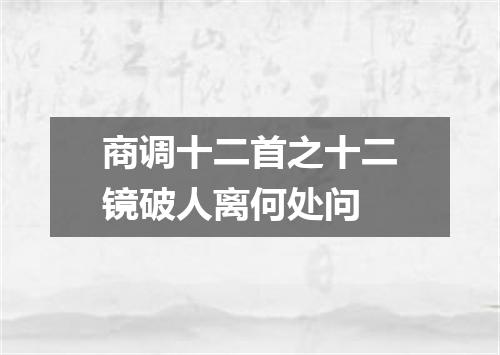 商调十二首之十二镜破人离何处问