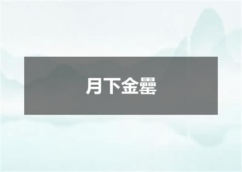 月下金罍