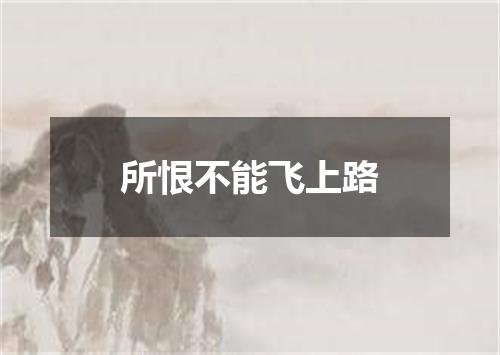 所恨不能飞上路