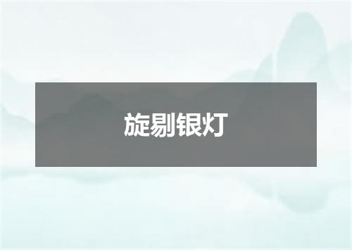 旋剔银灯