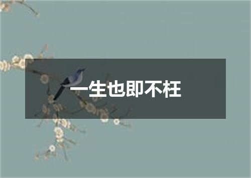 一生也即不枉