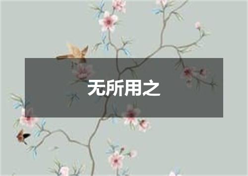 无所用之