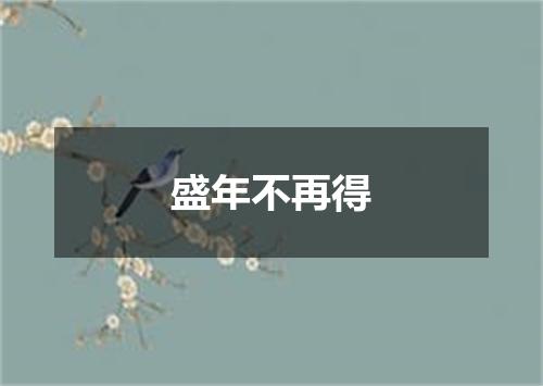 盛年不再得