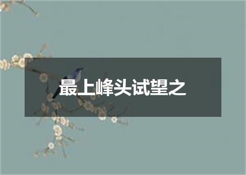最上峰头试望之