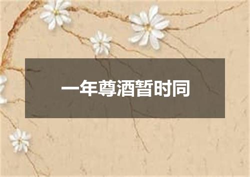 一年尊酒暂时同