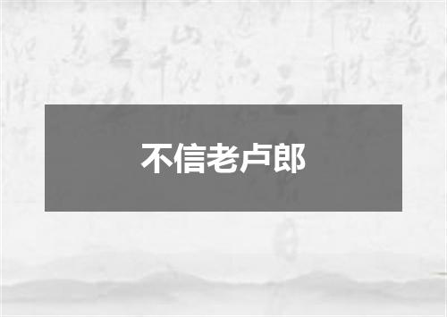 不信老卢郎
