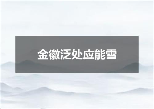 金徽泛处应能雪
