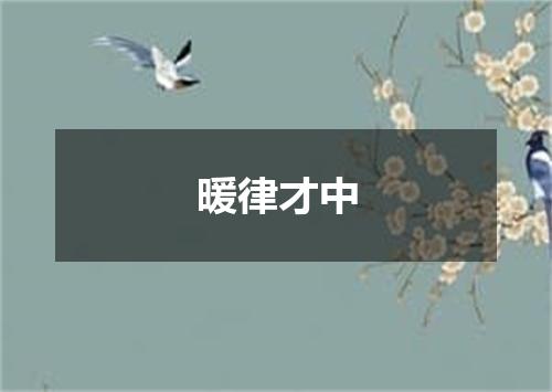 暖律才中