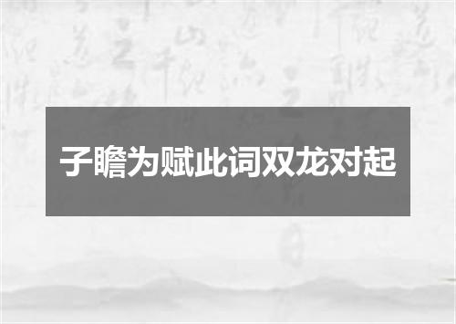 子瞻为赋此词双龙对起