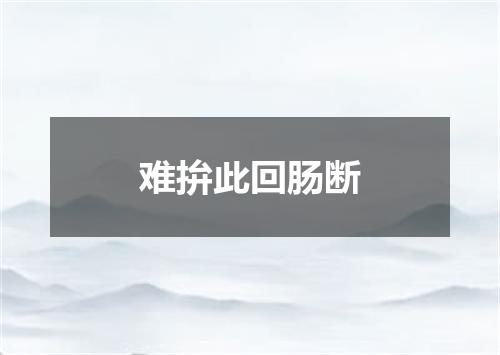难拚此回肠断
