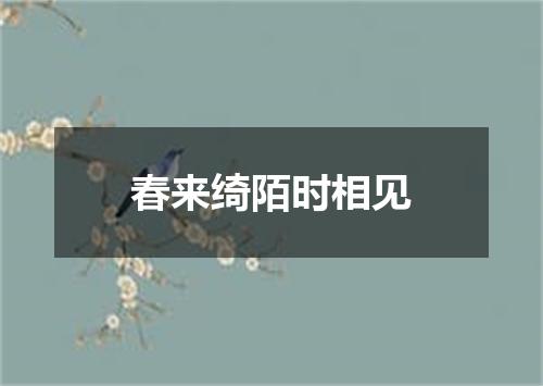 春来绮陌时相见