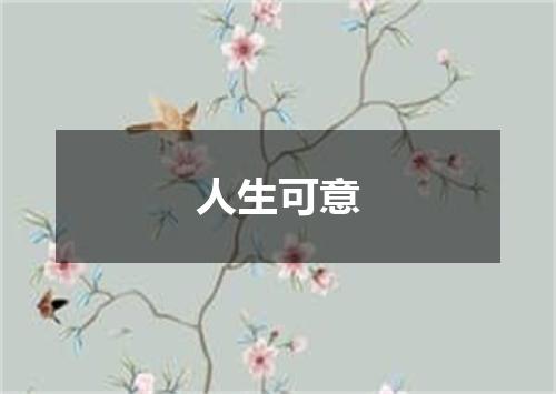 人生可意