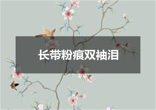 长带粉痕双袖泪