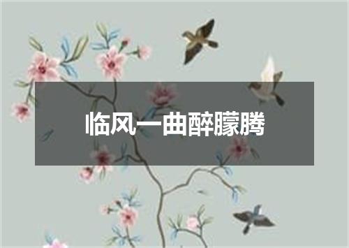 临风一曲醉朦腾