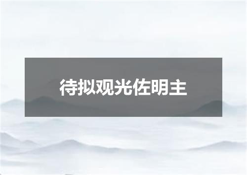 待拟观光佐明主