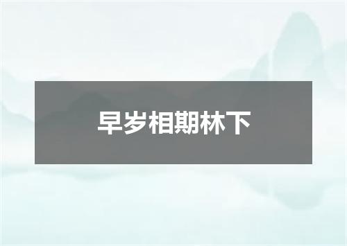 早岁相期林下