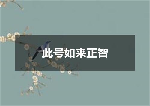 此号如来正智