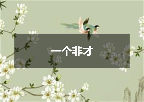一个非才