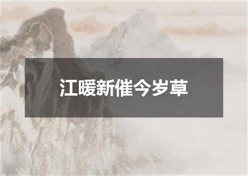 江暖新催今岁草