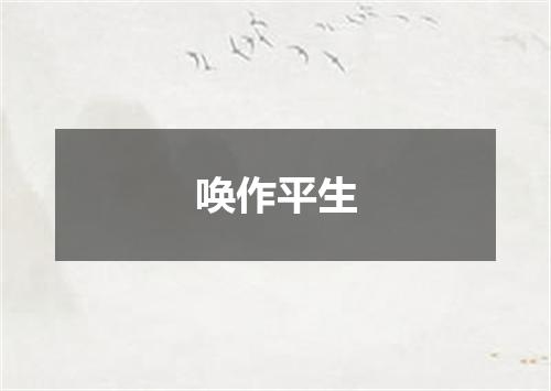 唤作平生