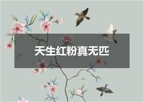 天生红粉真无匹