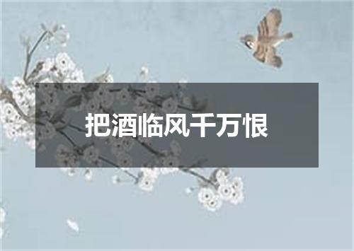 把酒临风千万恨