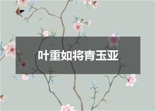 叶重如将青玉亚