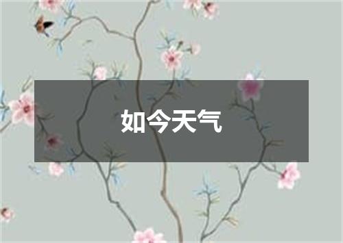 如今天气