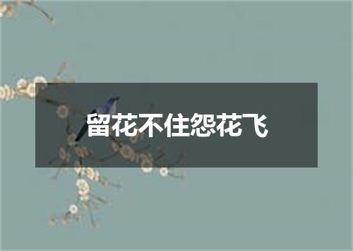 留花不住怨花飞